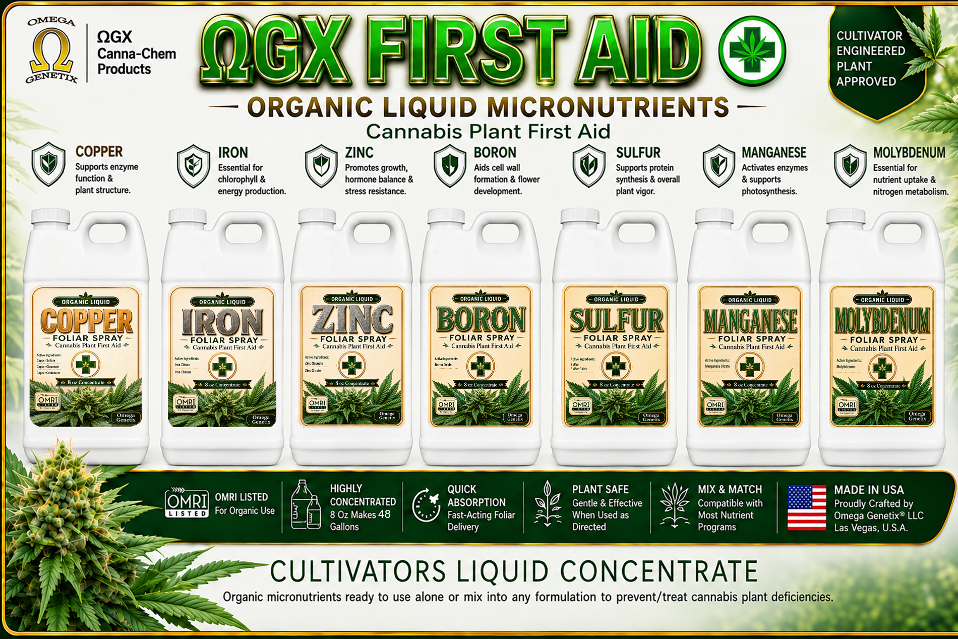 OGX Product 5